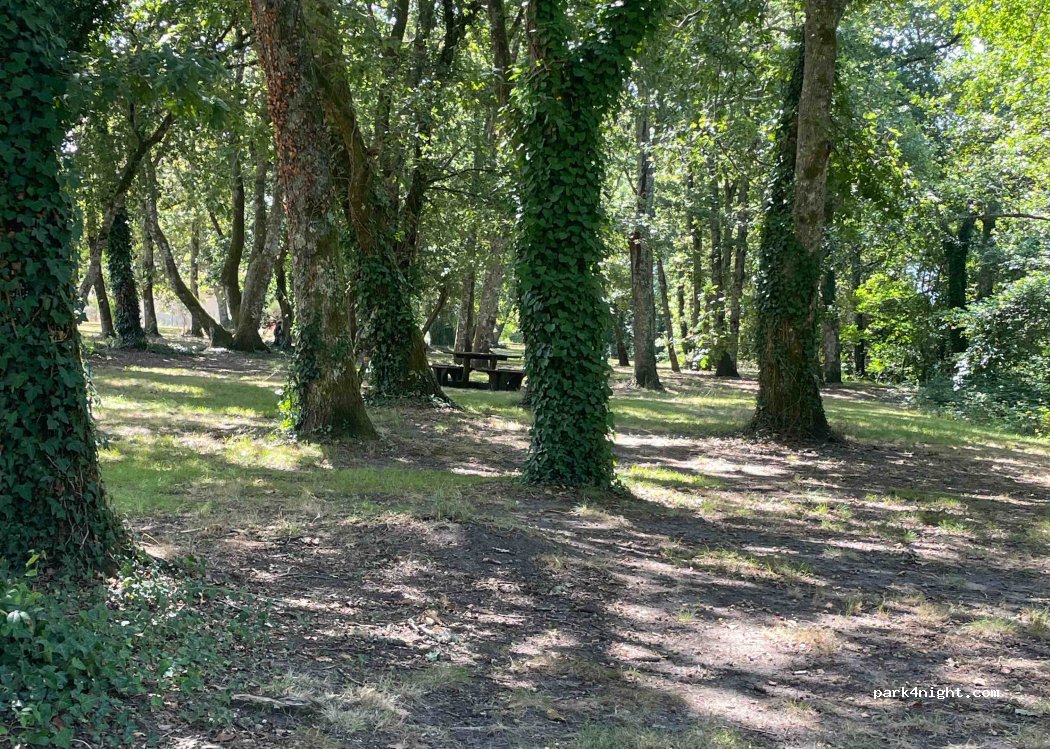 (40420) Labrit - 145 Route de Sabres — foto
