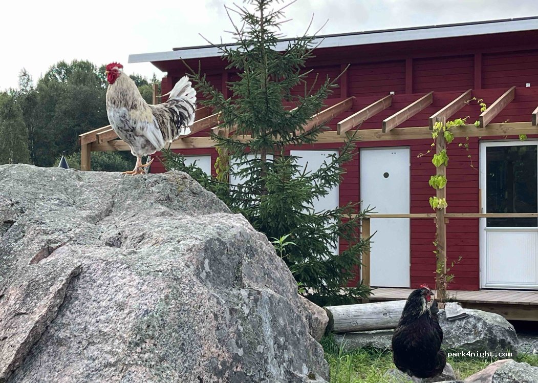 Slow Life Sweden - Åsängen Ekoby — foto 3