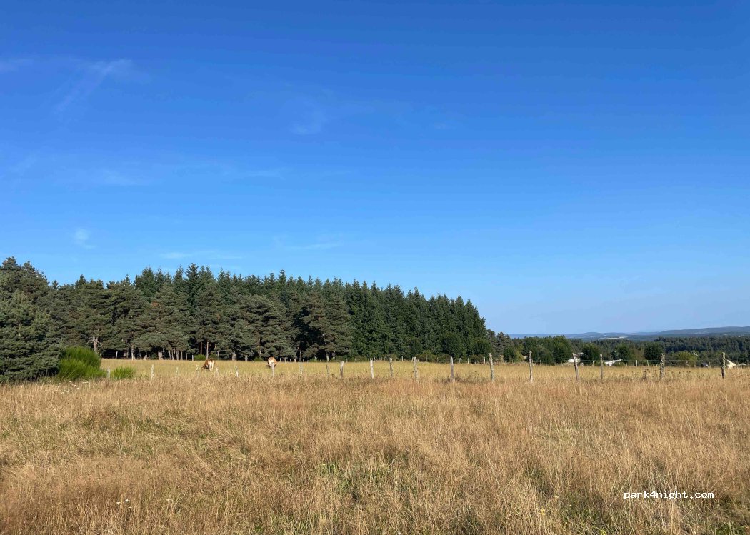 (48130) Peyre en Aubrac - — foto 2