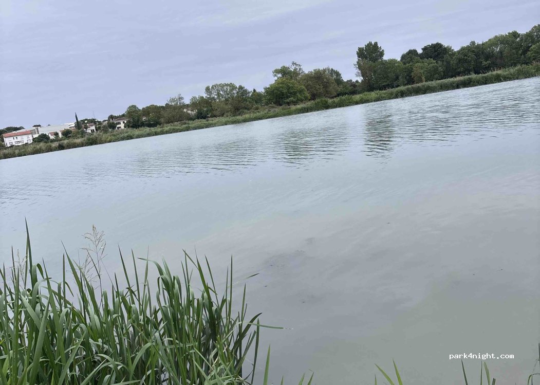 (17350) Saint-Savinien - Unnamed Road — foto 5