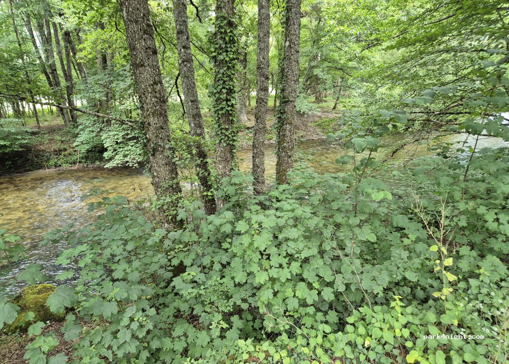 (09110) Savignac-les-Ormeaux - — foto 3