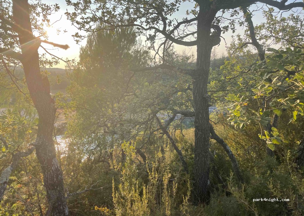 (83560) Vinon-sur-Verdon - 1640 D554 — foto 2
