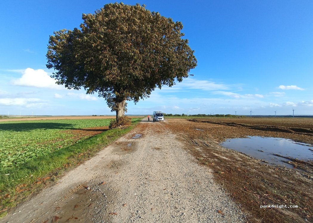 (08190) Villers-devant-le-Thour - — foto 5