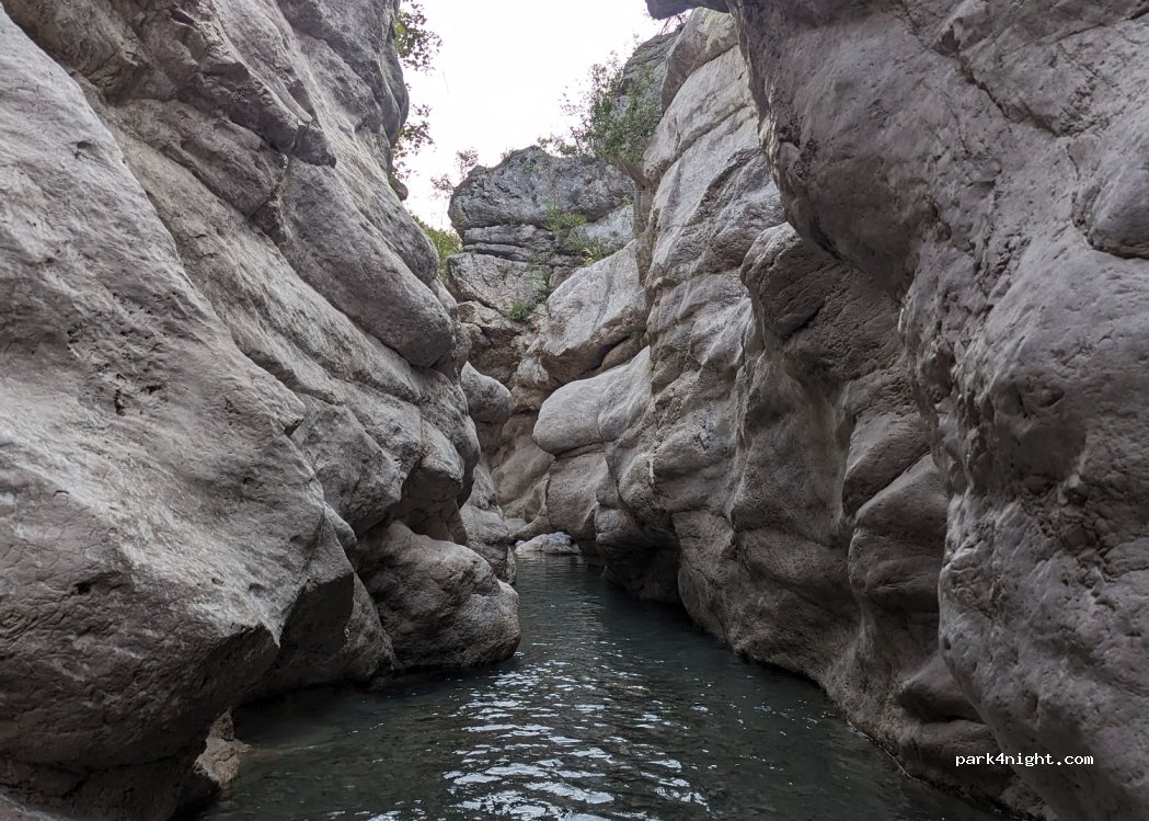 (1504) Kurcaj - — foto 3