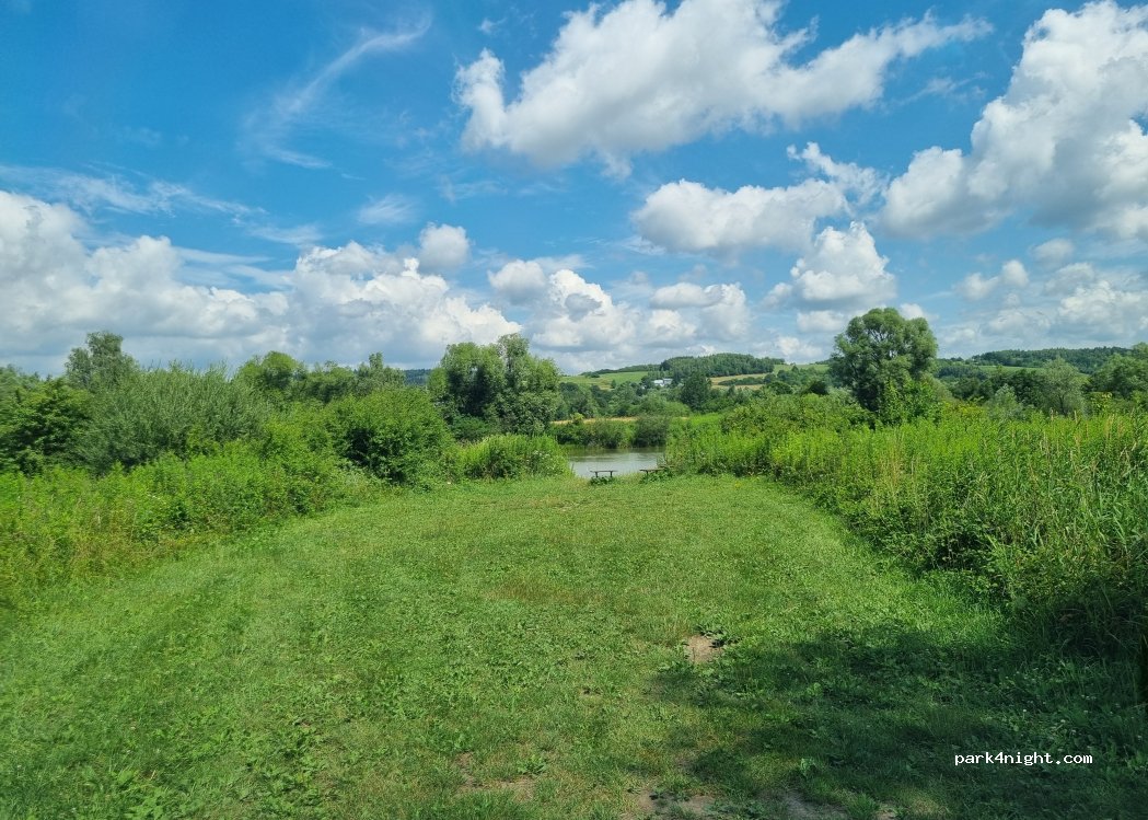 (38-242) Skołyszyn - — foto