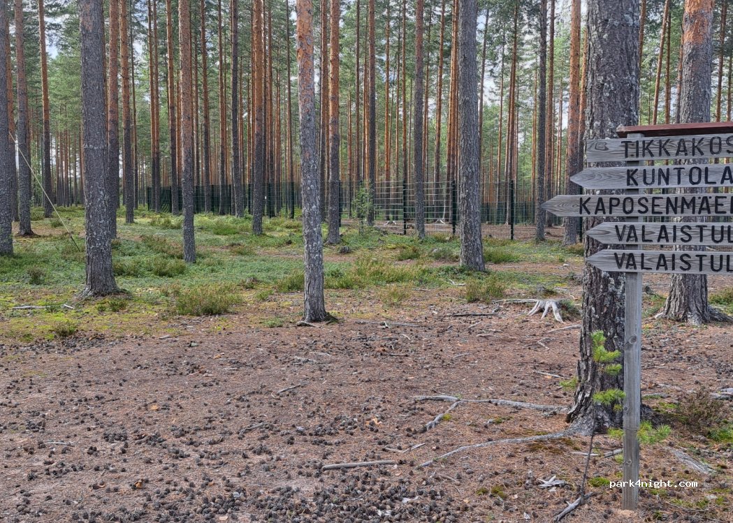 (41160) Jyväskylä - 807 Luonetjärventie — foto