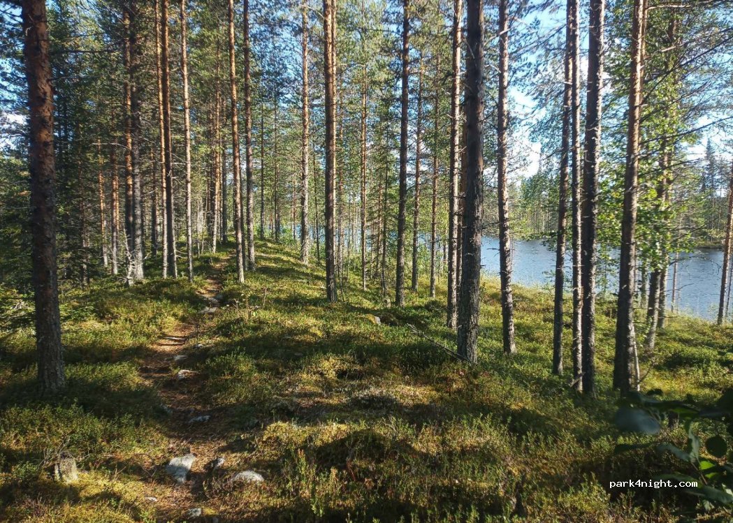 (921 96) Hedmark - — foto 2