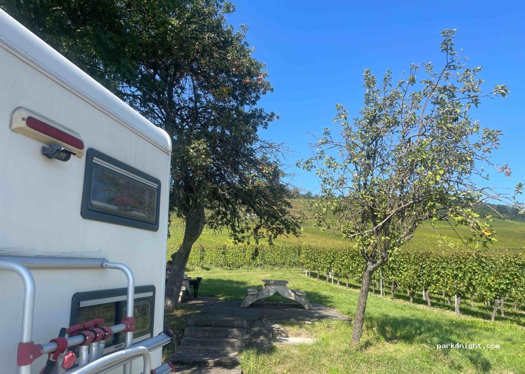 (68500) Orschwihr - D505 — foto