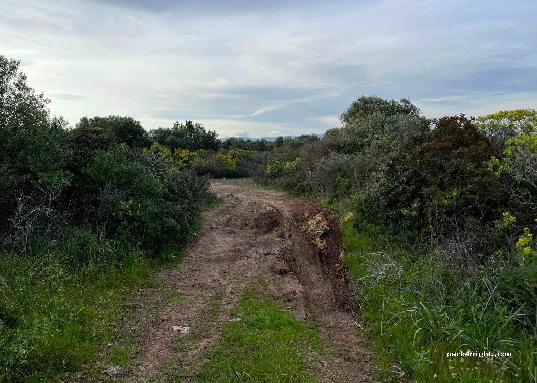 (08042) Bari Sardo - Unnamed Road — foto 2