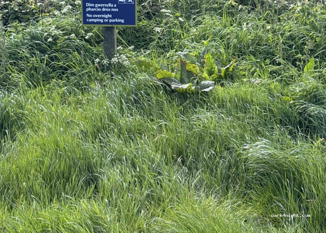 (SA62 6QN) Haverfordwest - Ffos Y Mynach — foto