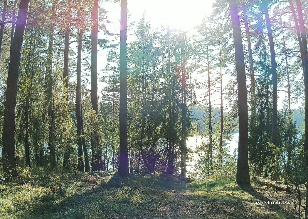 (18201) Lakaja - — foto