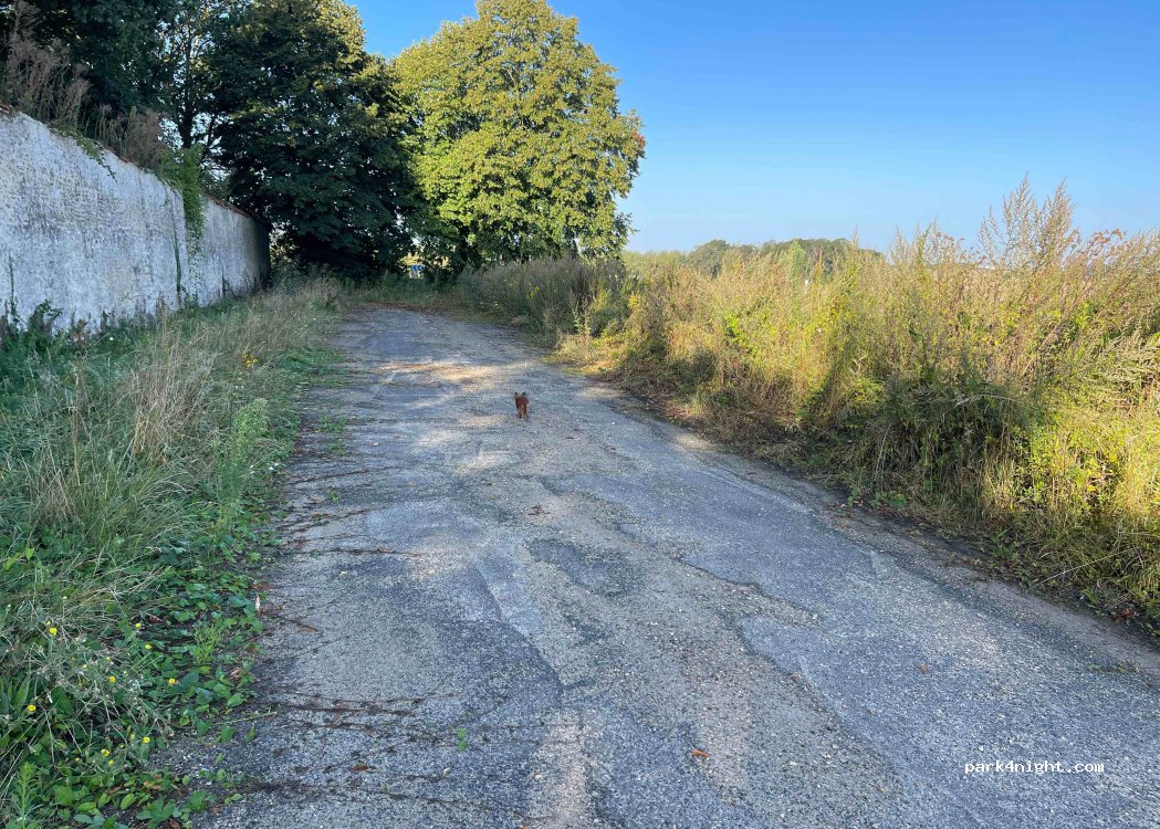 (78950) Gambais - 73 Rue de Goupigny — foto
