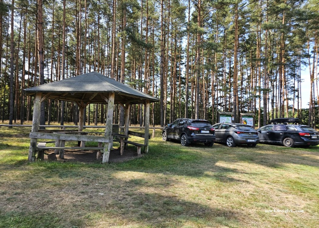 (42-286) Brusiek - 40 Przylasek — foto 2