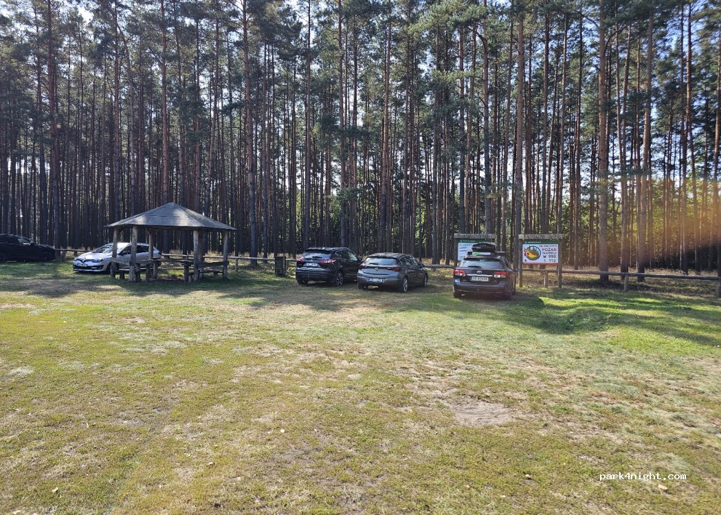 (42-286) Brusiek - 40 Przylasek — foto 3