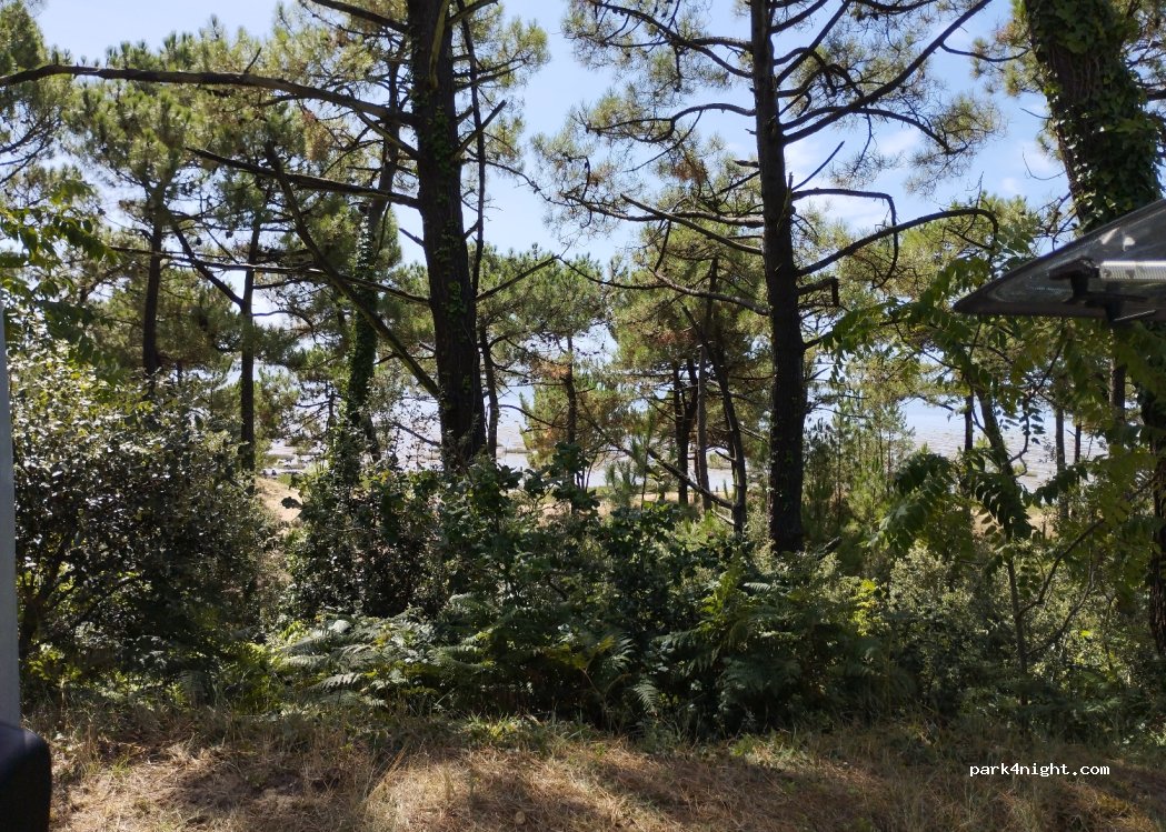(17570) Les Mathes - — foto