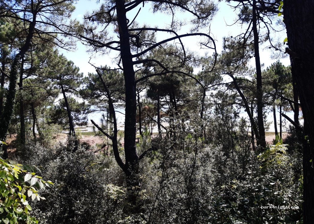 (17570) Les Mathes - — foto 3