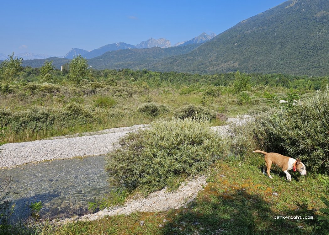 (32100) Belluno - Via Levego — foto 4