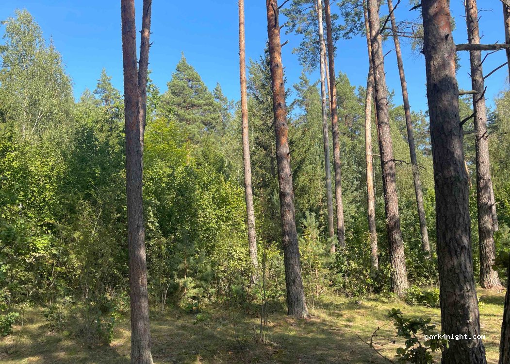 (21353) Mitkiškės - 21 Paparčių gatvė — foto