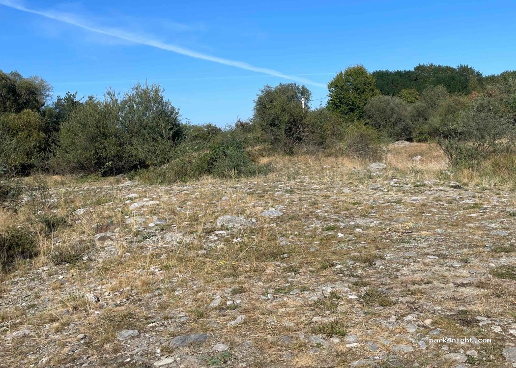 (557075) Cârțișoara - Unnamed road — foto 2