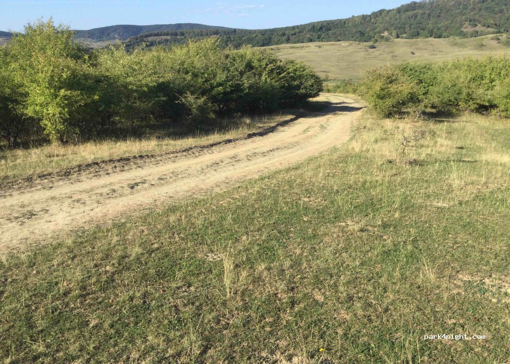 (507035) Bunești - — foto