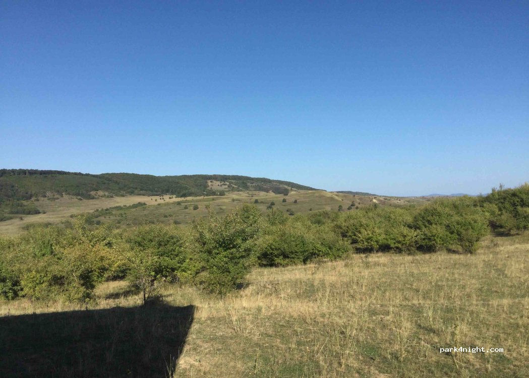 (507035) Bunești - — foto 2