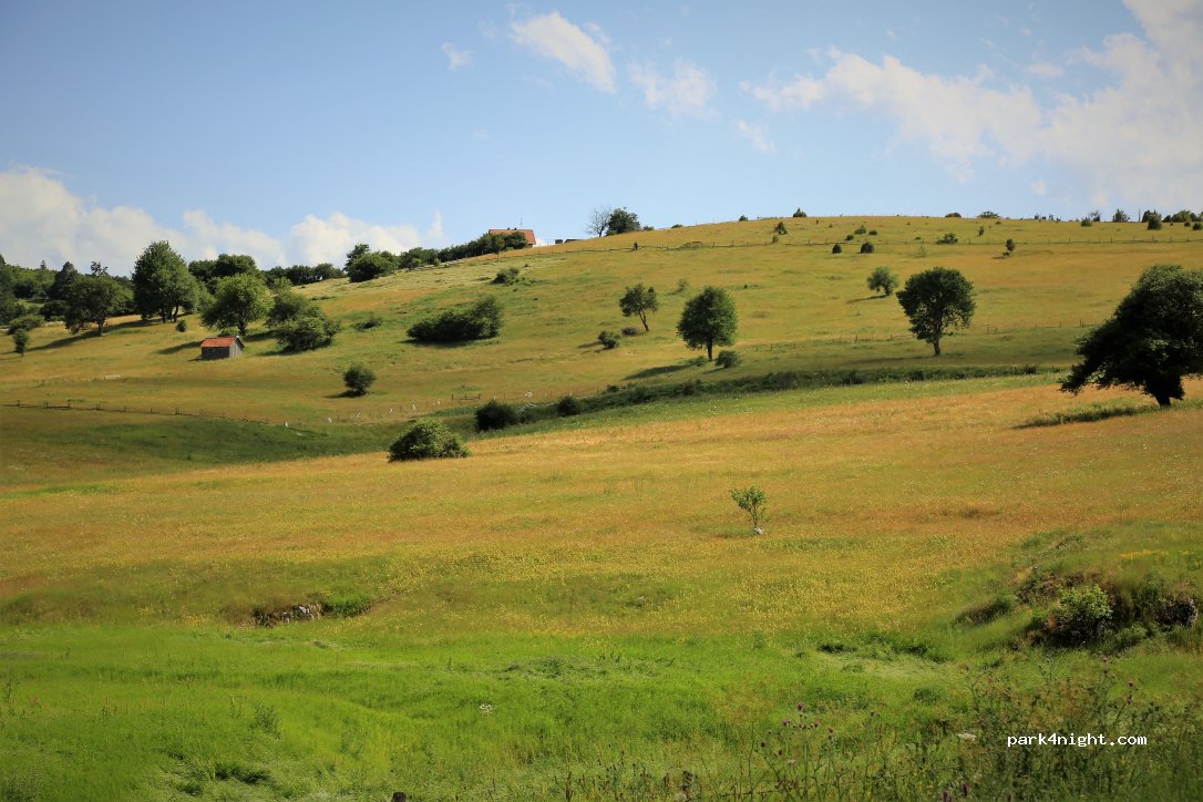 () Kraljevo Polje - M19 — foto 3