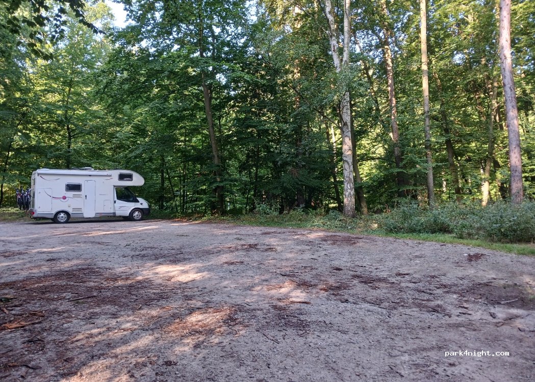 (17139) Gielow - L202 — foto
