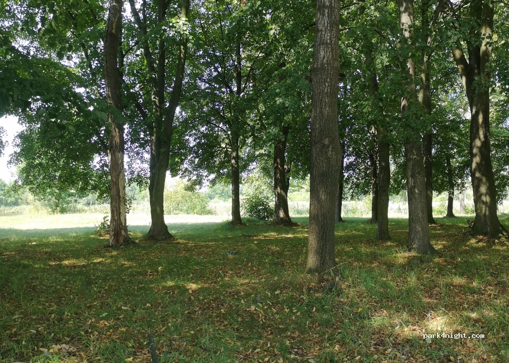 (47-303) Krapkowice - — foto 5