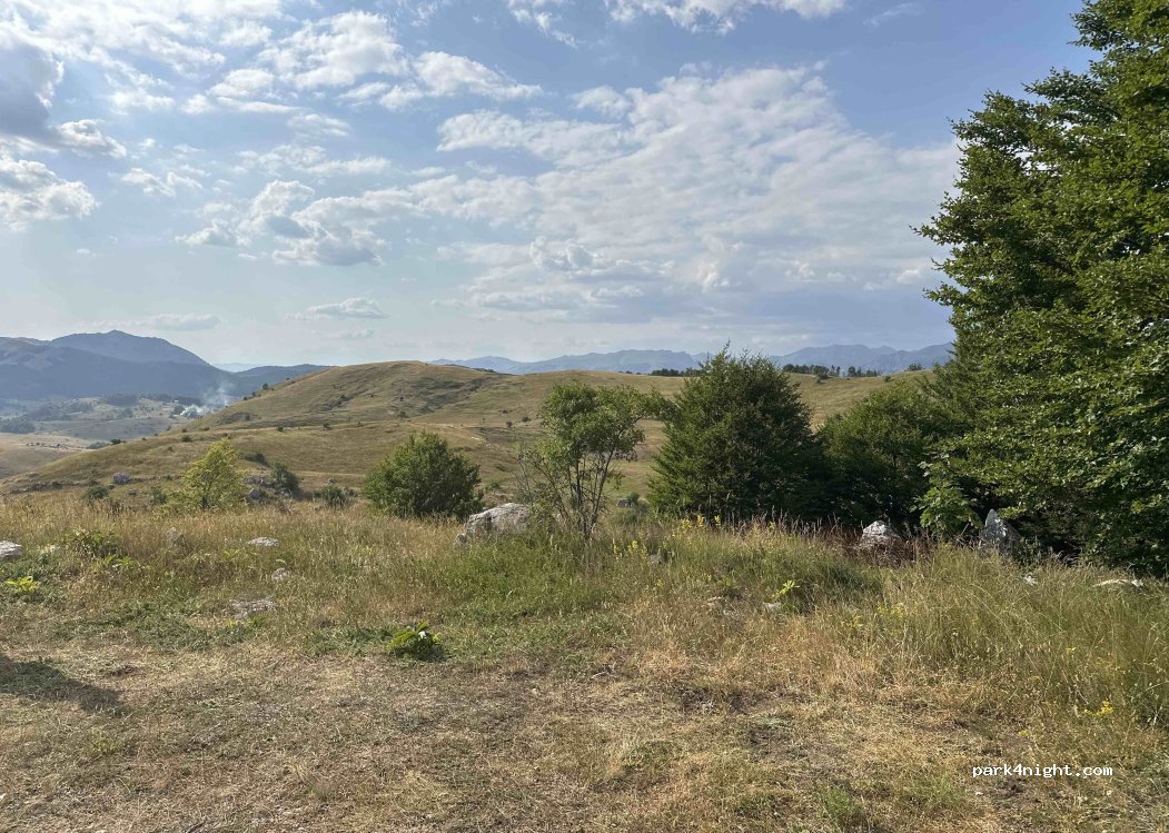 () Čemerno - — foto 2