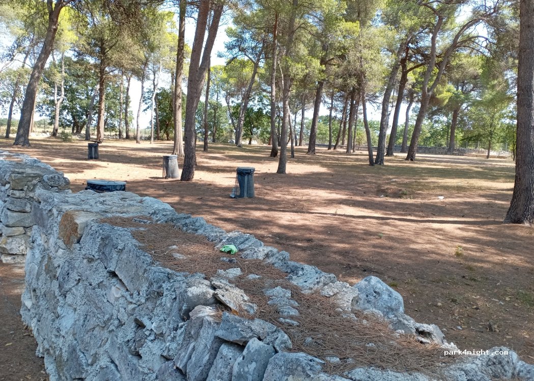 (70021) Acquaviva delle Fonti - — foto