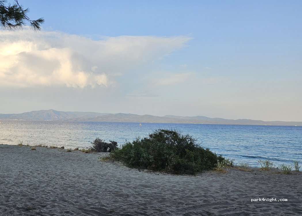 (630 85) Pallini - — foto