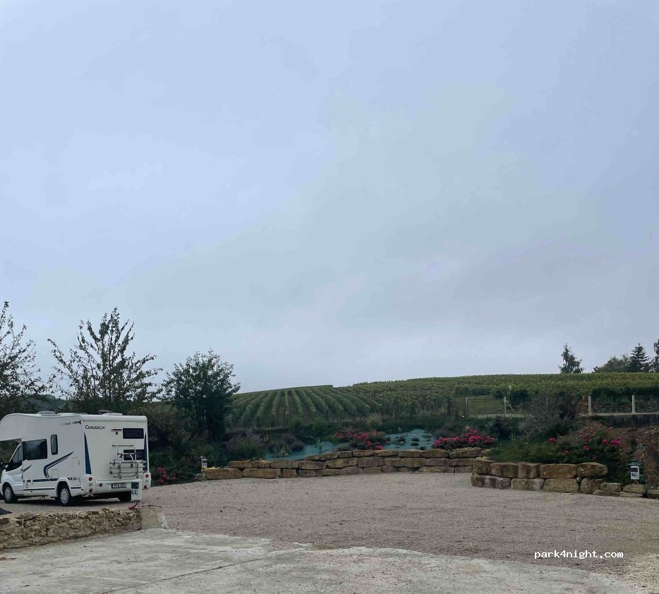 Champagne Petit-Triolet — foto