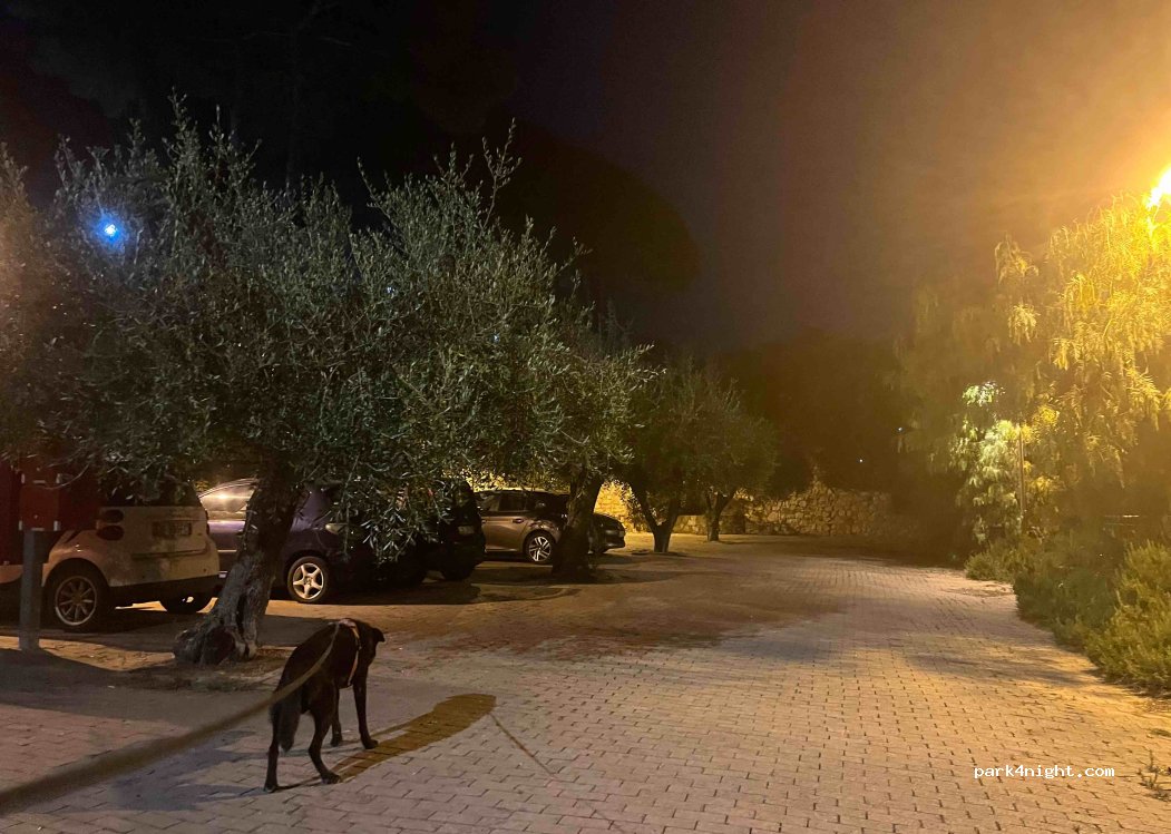 (18012) Vallebona - 22 Madonna della Neve — foto