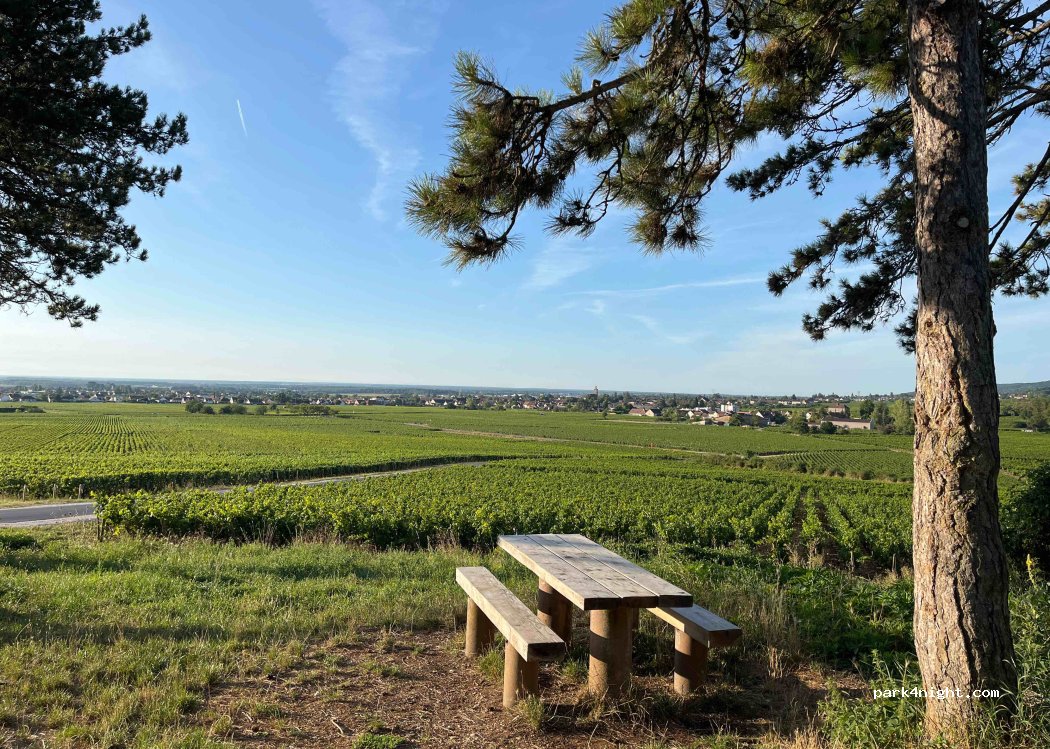 (21160) Marsannay-la-Côte - — foto