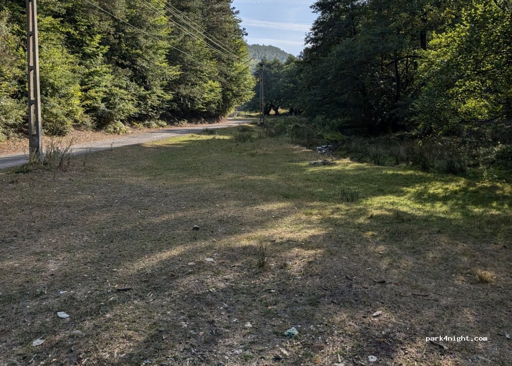 (417110) Valea Crișului - — foto 2
