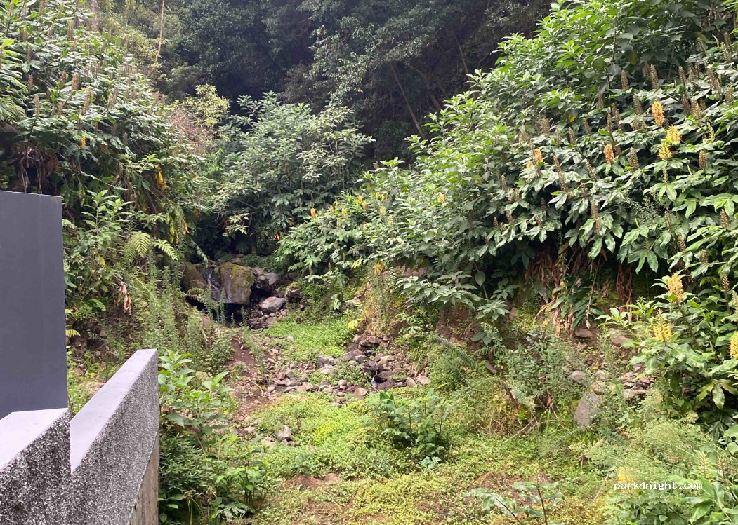 (9240) Boaventura - Caminho do Cardo — foto