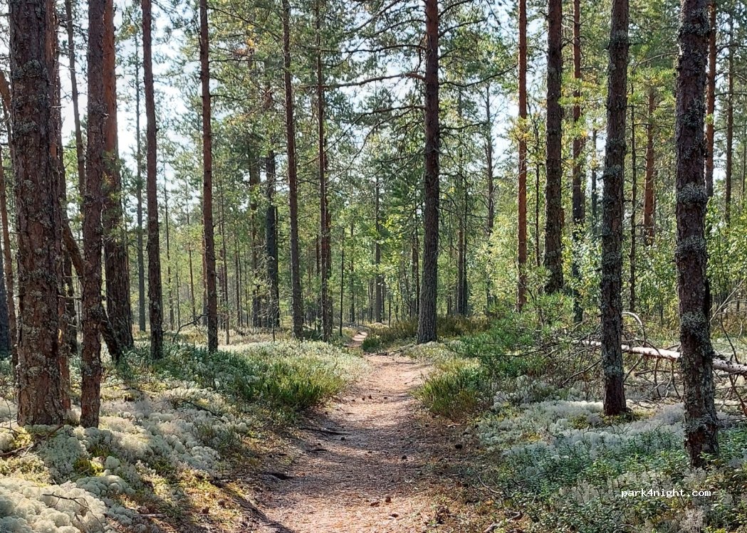 (90310) Kempele - 330 Mourungintie — foto 3