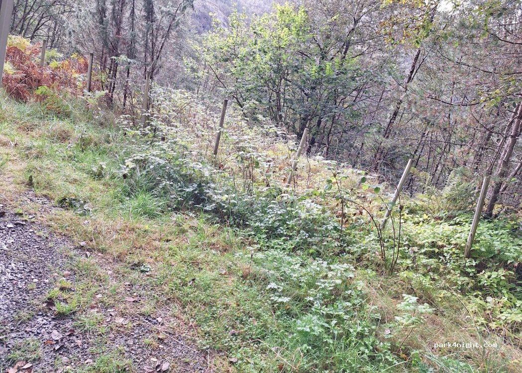 (5598) fjæra - 49 Rullestadvegen — foto