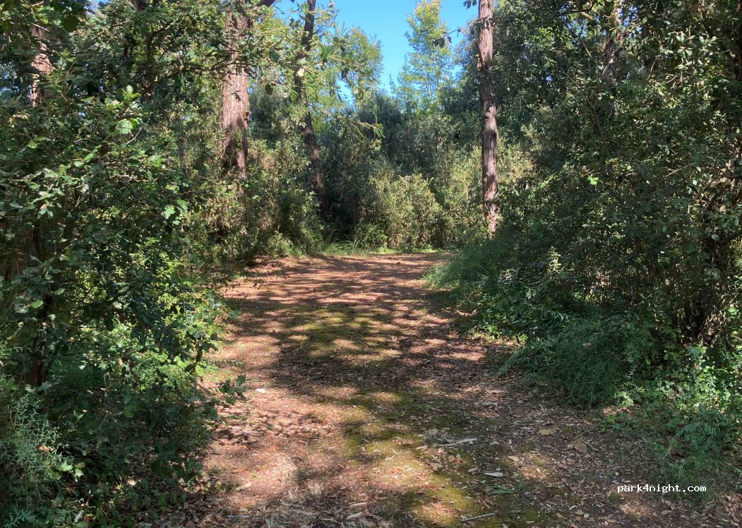 (17310) Saint-Pierre-d'Oléron - 41 Chemin de l'Ilette — foto
