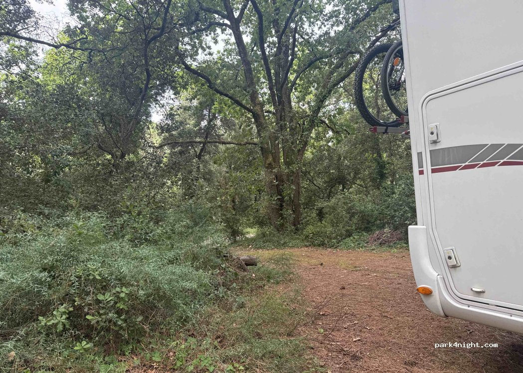 (17310) Saint-Pierre-d'Oléron - 41 Chemin de l'Ilette — foto 3