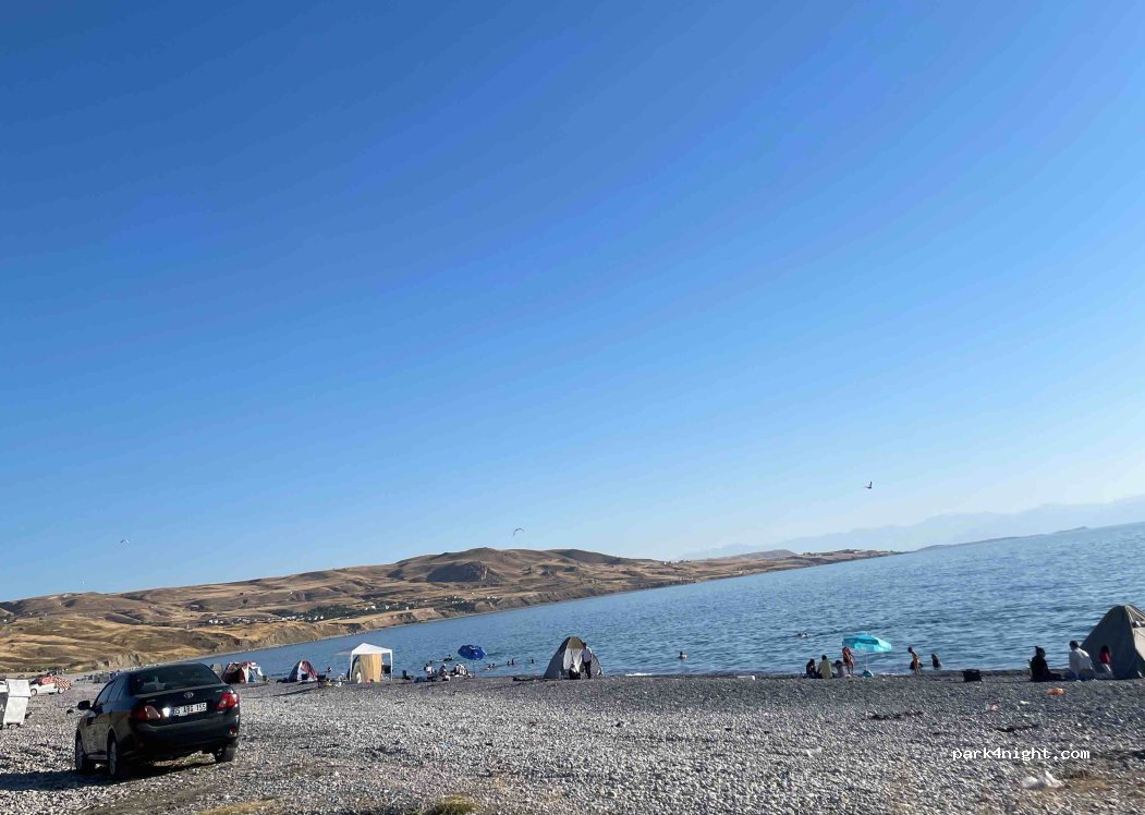 (65090) Ağartı - — foto