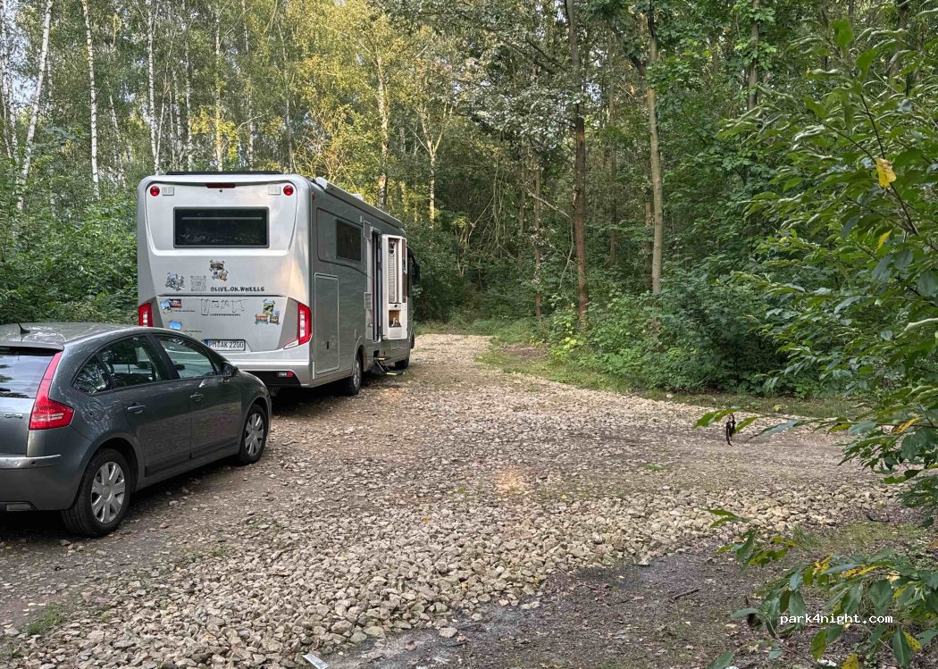 (42-583) Rogoźnik - — foto
