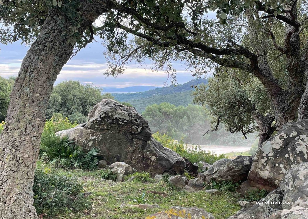 (11391) Cañada de la Jara - — foto 5