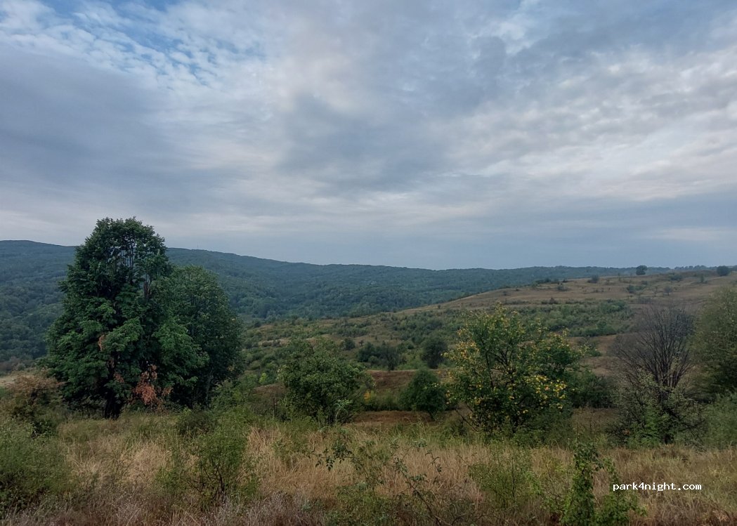 (627045) Bordești - — foto 2