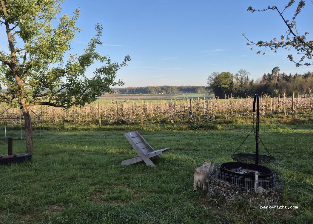 Campingstellplatz am Obstgarten Familie Leiprecht — foto 3