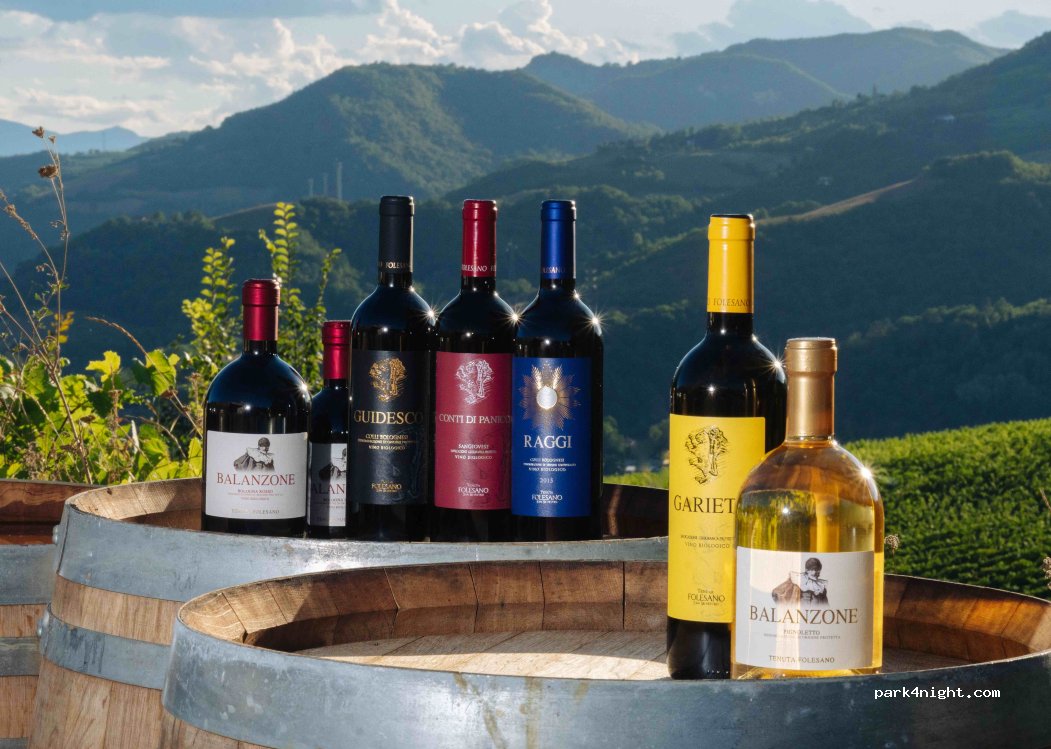Winery Tenuta Folesano — foto 2