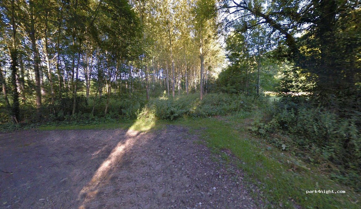 (36320) Villedieu-sur-Indre - Prairie de Villedieu — foto