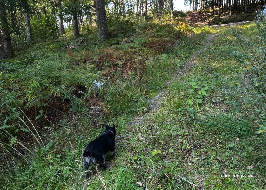 (286 91) Örkelljunga - 435 Akarp — foto