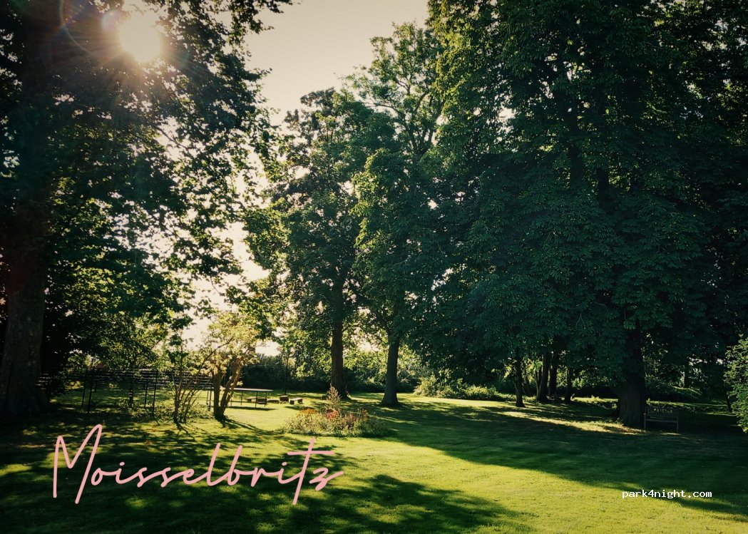 (18528) Rappin - 5 Wiesengrund — foto