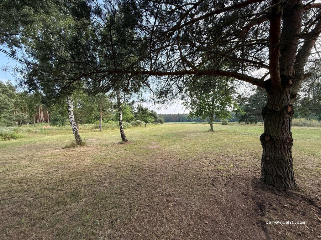 (15848) Rietz-Neuendorf - Spreestrasse 72 — foto 3